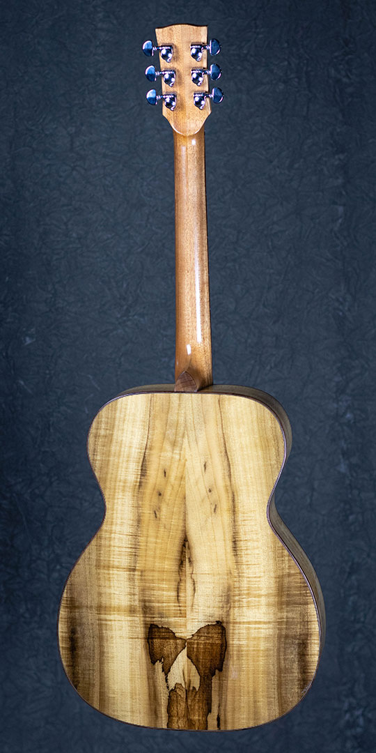 roberto venn alumni work class of 2019 01 acoustics img 3522 Spring 2019