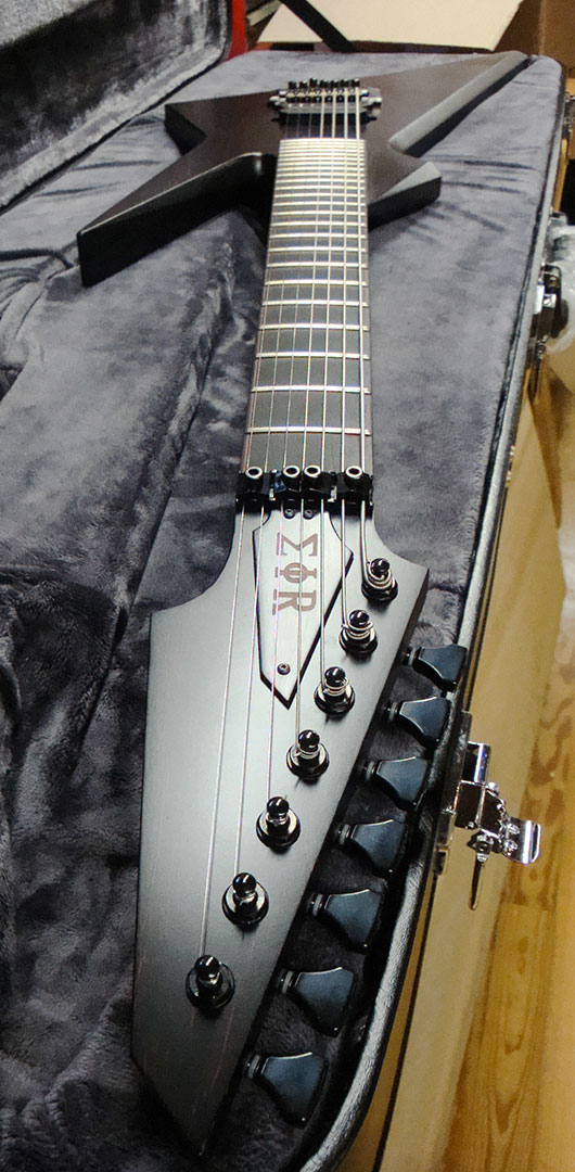 roberto venn team stevo guitar 2 STEVEN DAVIS