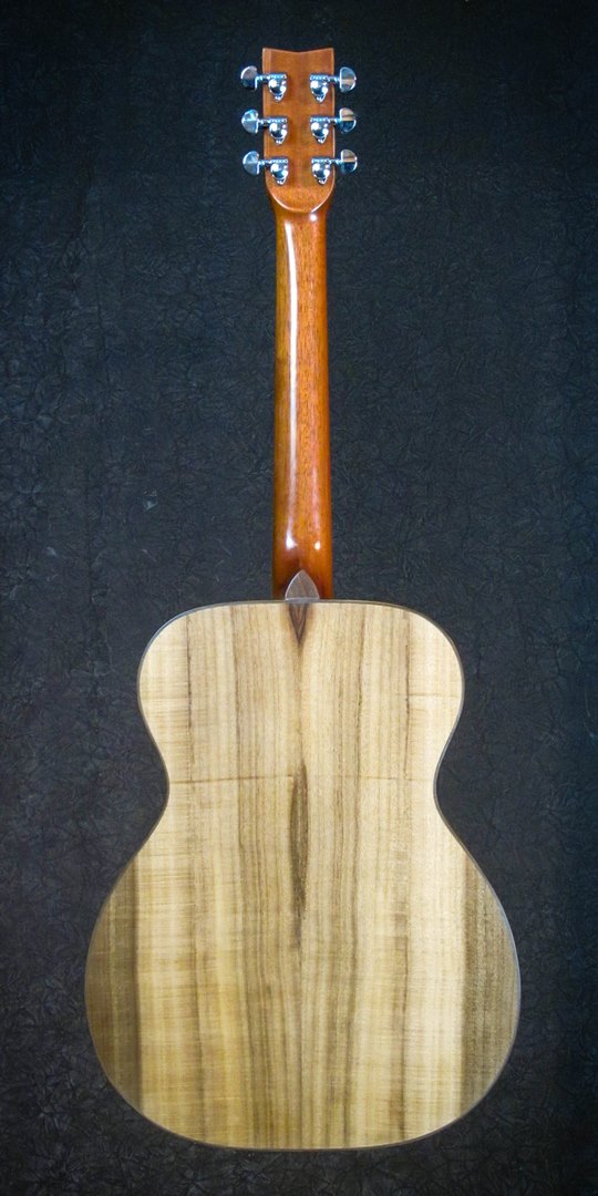 Roberto-venn-student-46IMG_3420.jpg Hunter Petty backRoberto-venn-student- Roberto venn student 46IMG 3420.jpg Hunter Petty backRoberto venn student Spring 2020